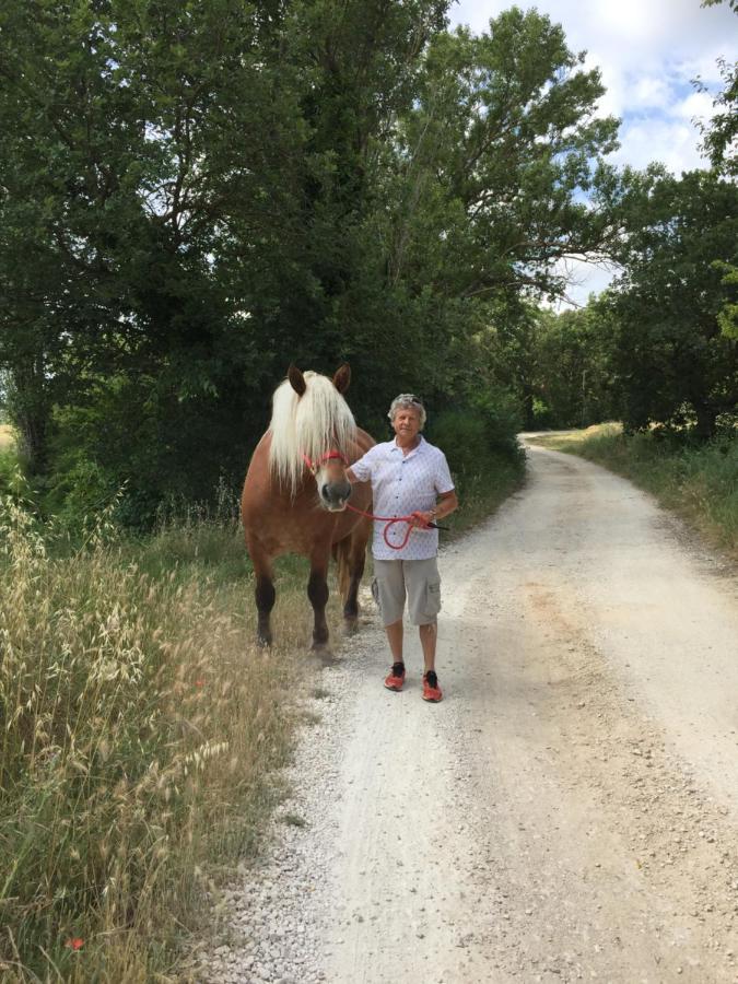 B&B Et Gite D'Ayran Saint-Quentin-la-Poterie Luaran gambar