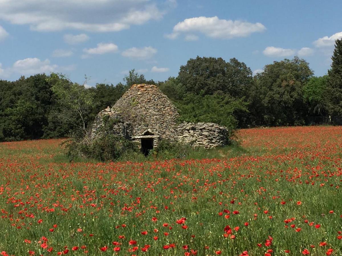 B&B Et Gite D'Ayran Saint-Quentin-la-Poterie Luaran gambar