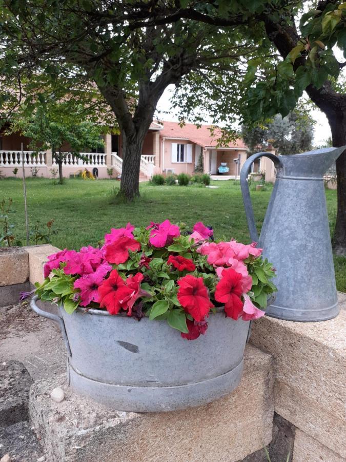 B&B Et Gite D'Ayran Saint-Quentin-la-Poterie Luaran gambar